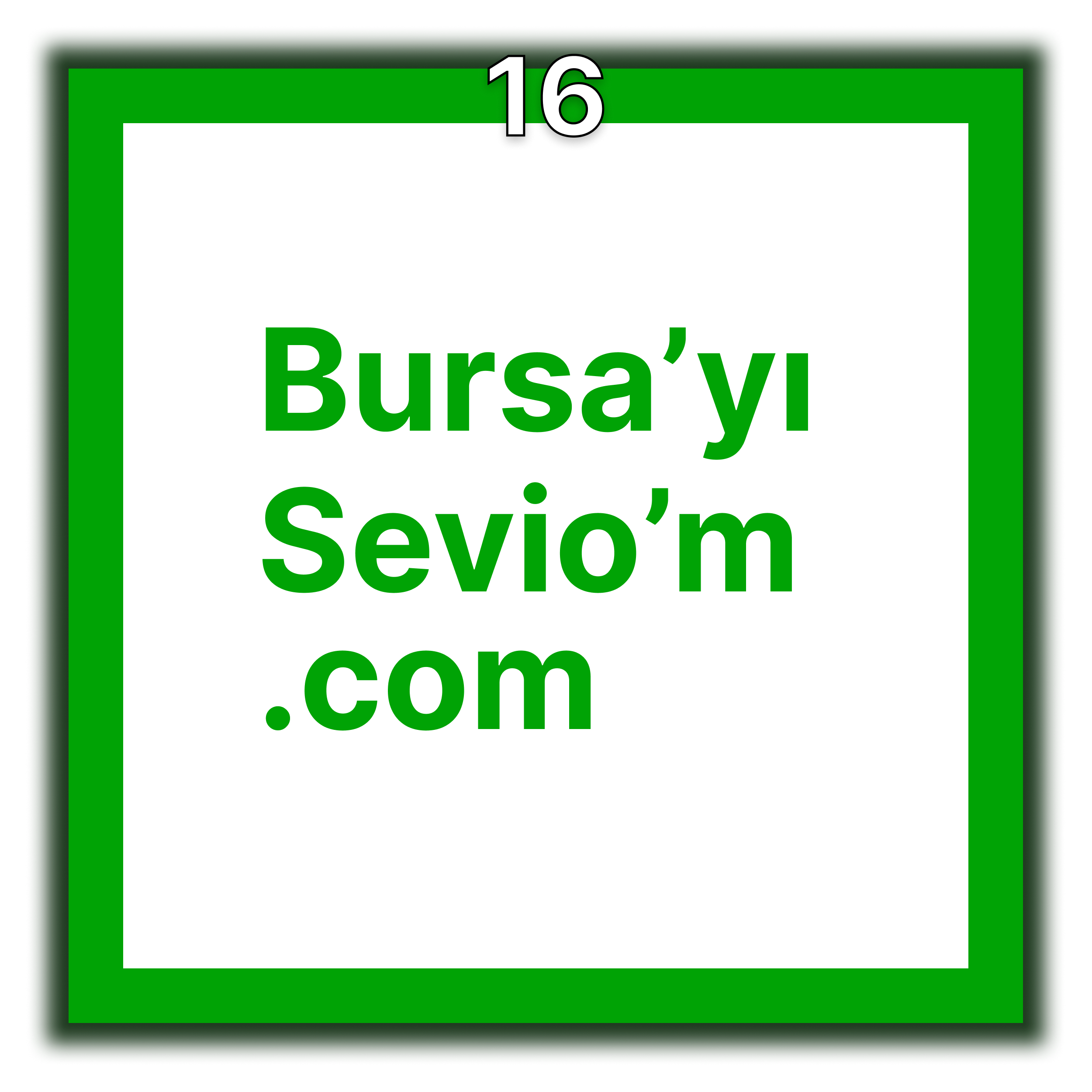 bursayiseviom.com logo